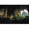 DVD/ DISCOVERING THE ORNATE CAVES OF BORNEO