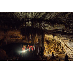 DVD/ Neandertal, le mystère de la grotte de Bruniquel