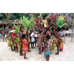 DVD Aventures spéléologiques en Papouasie